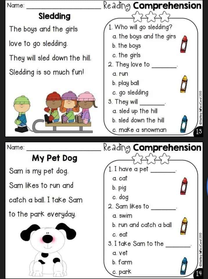 14 Reading Comprehension Worksheets